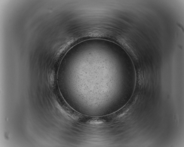 X0000099530208200805231110