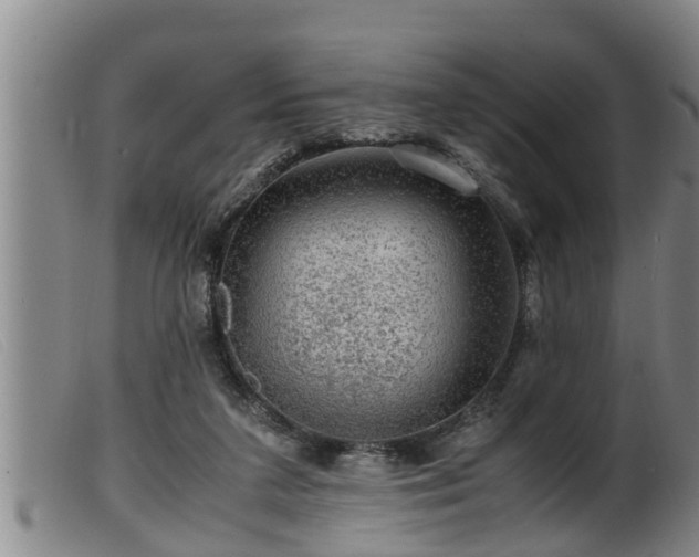 X0000099530211200805231110