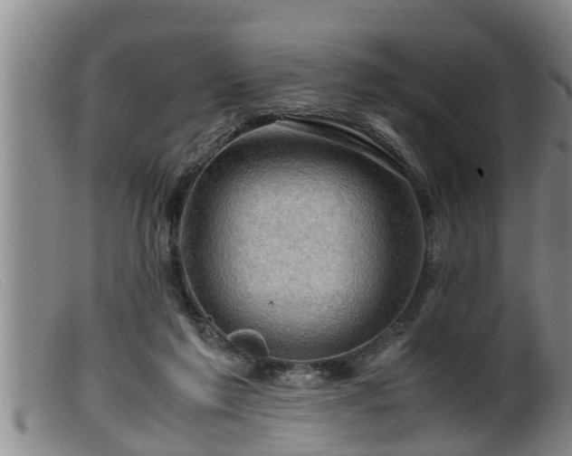 X0000099530213200805231110