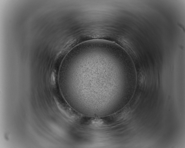 X0000099530214200805231110