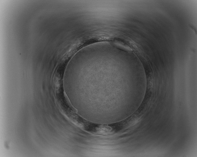 X0000099530215200805231110
