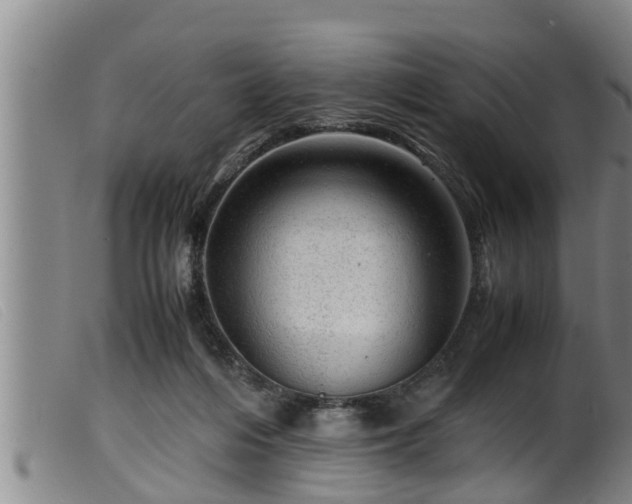 X0000099530216200805231110