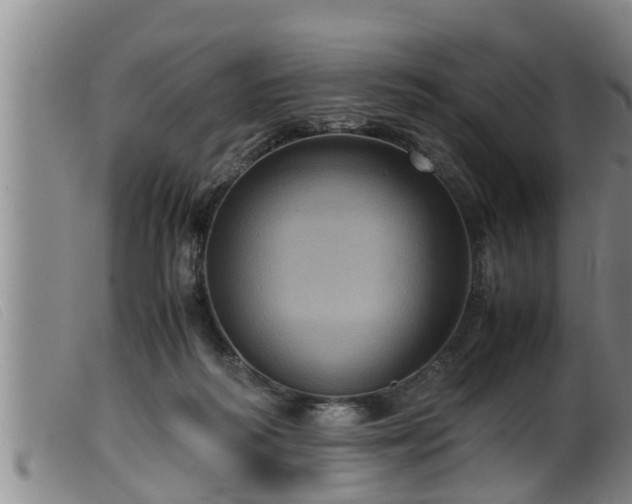 X0000099530218200805231110