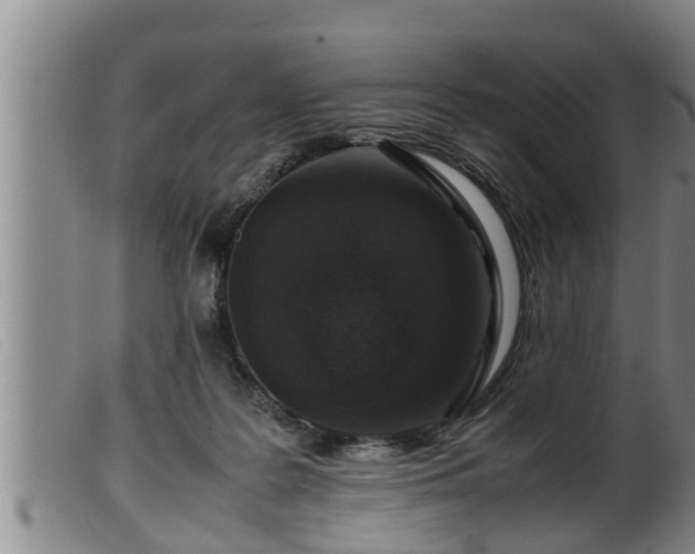 X0000099530219200805231110