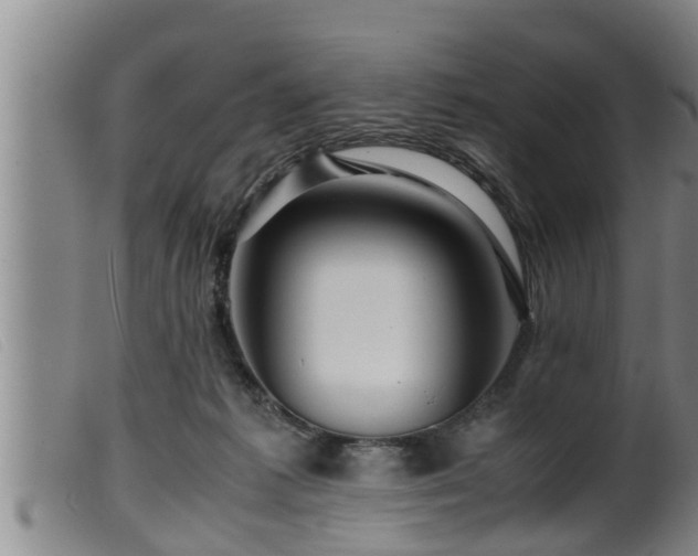 X0000099530221200805231110
