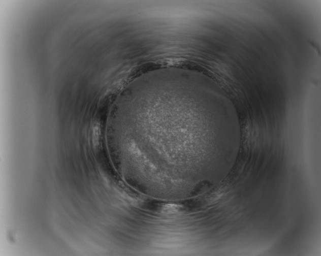 X0000099530222200805231110