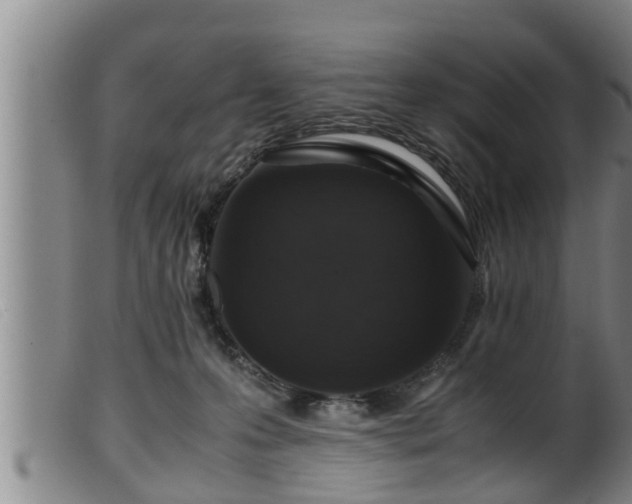 X0000099530223200805231110