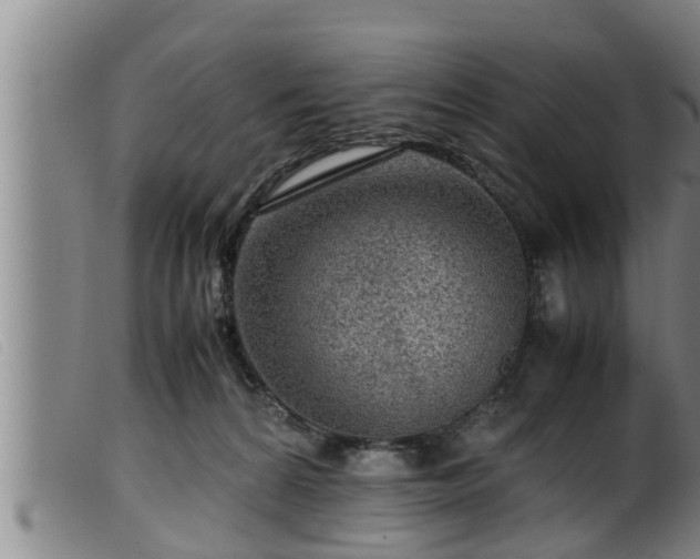 X0000099530224200805231110
