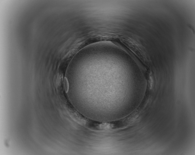 X0000099530225200805231110