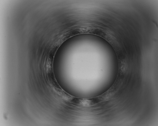X0000099530226200805231110