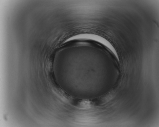 X0000099530227200805231110