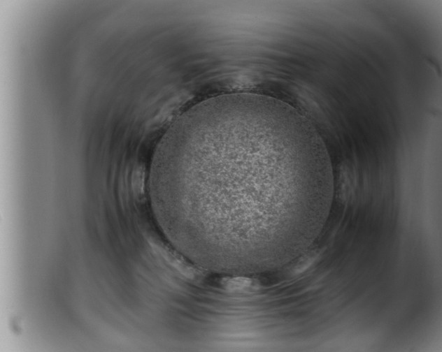 X0000099530230200805231110