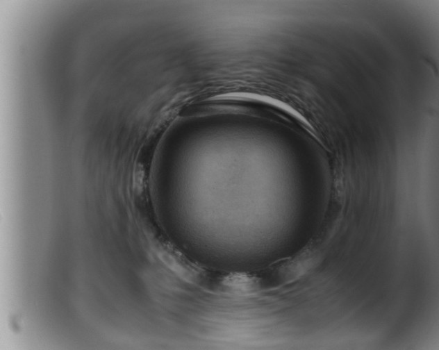 X0000099530231200805231110