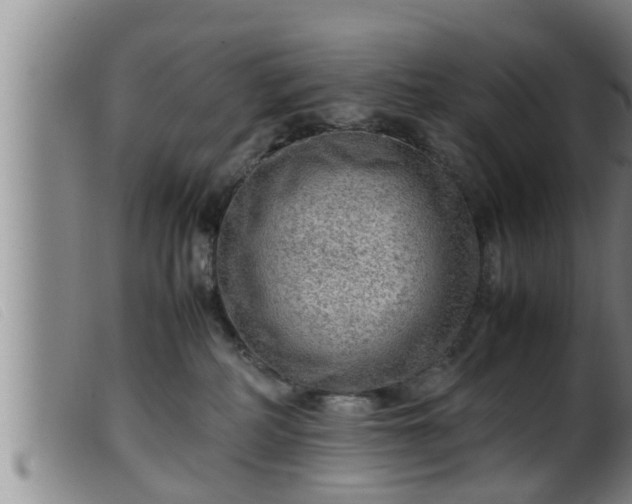 X0000099530234200805231109