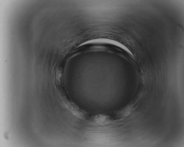 X0000099530235200805231109