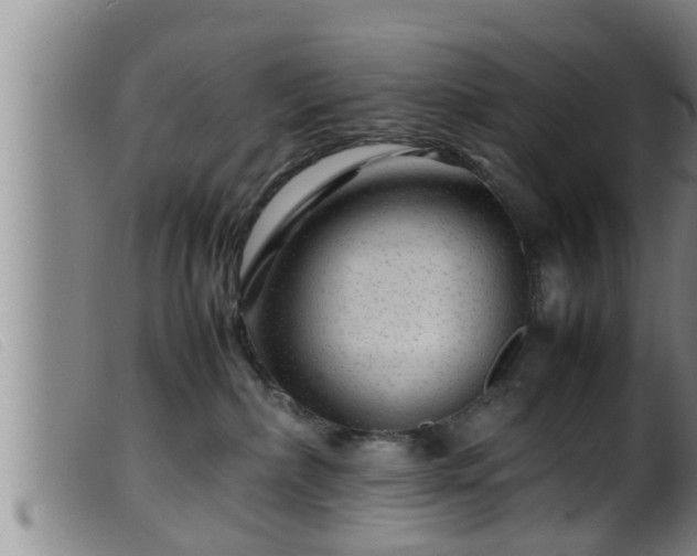 X0000099530236200805231109