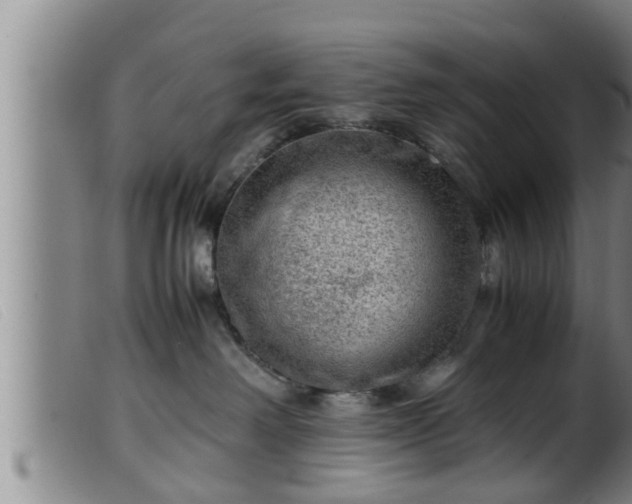 X0000099530238200805231109