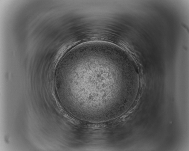 X0000099530241200805231109