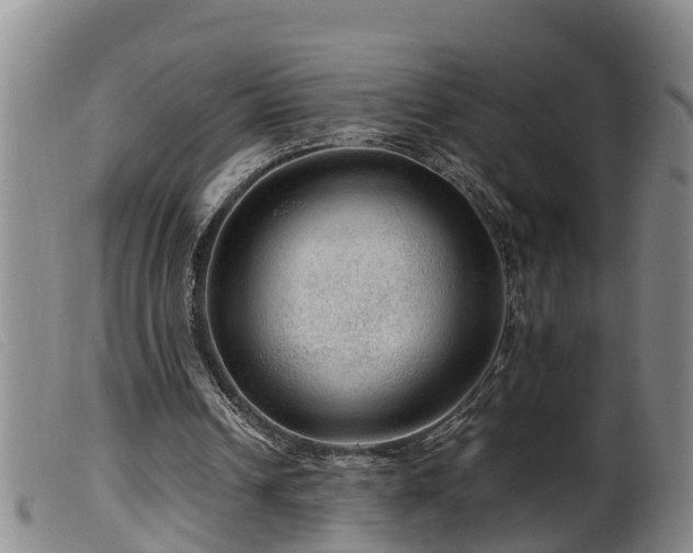 X0000099530242200805231109