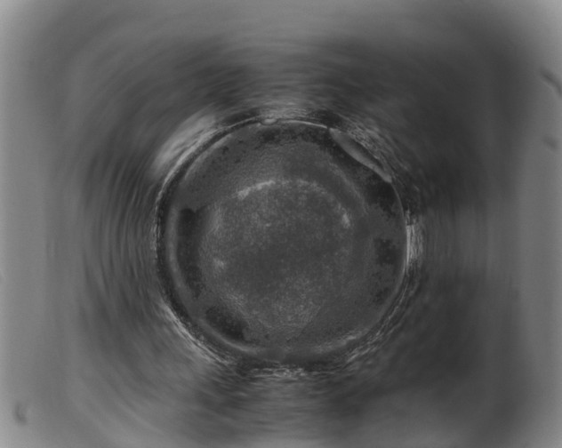 X0000099530243200805231109