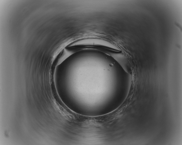 X0000099530244200805231109