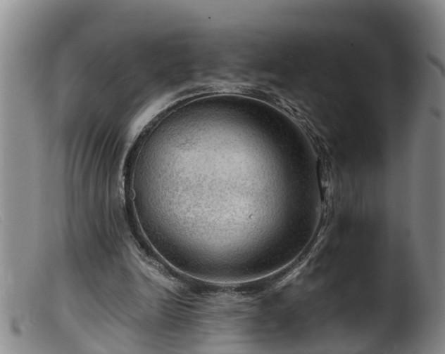 X0000099530246200805231109