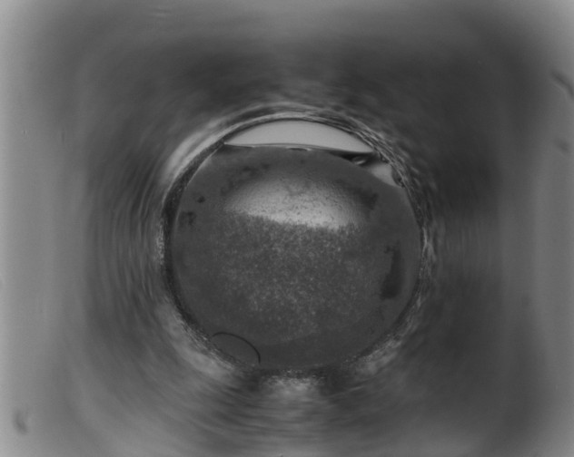 X0000099530247200805231109