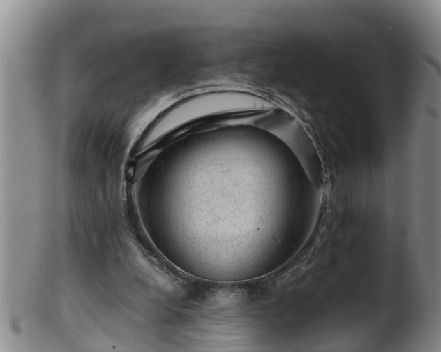 X0000099530248200805231109