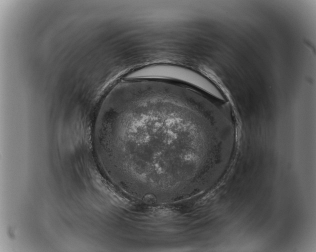 X0000099530249200805231109