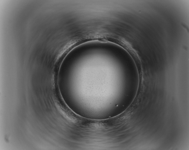 X0000099530250200805231109