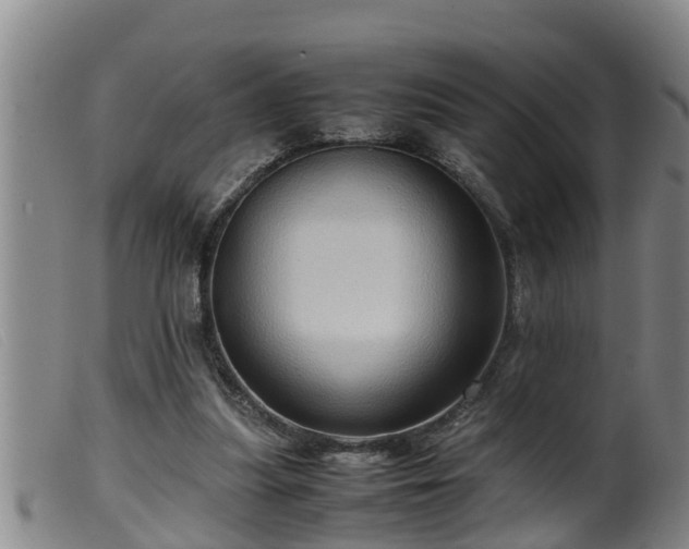 X0000099530251200805231109