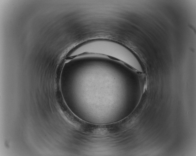 X0000099530252200805231109