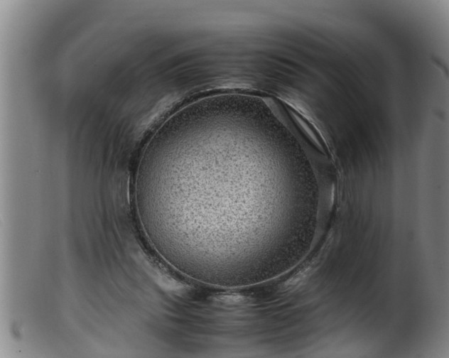 X0000099530253200805231109