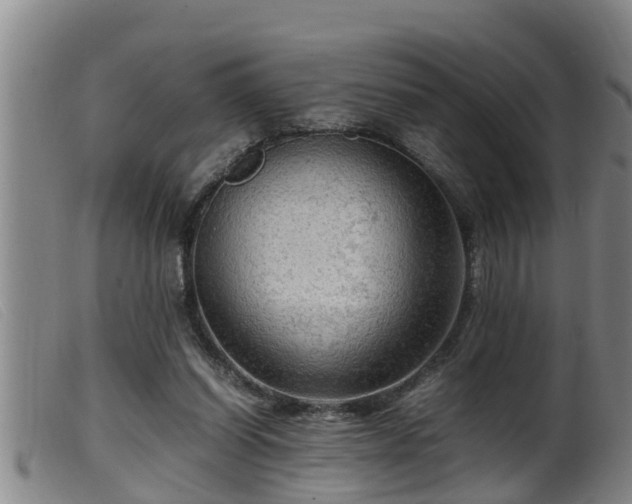 X0000099530254200805231109