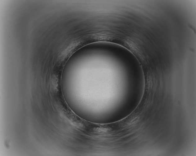 X0000099530255200805231109