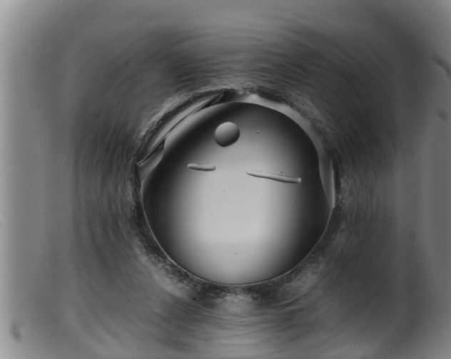 X0000099530256200805231109
