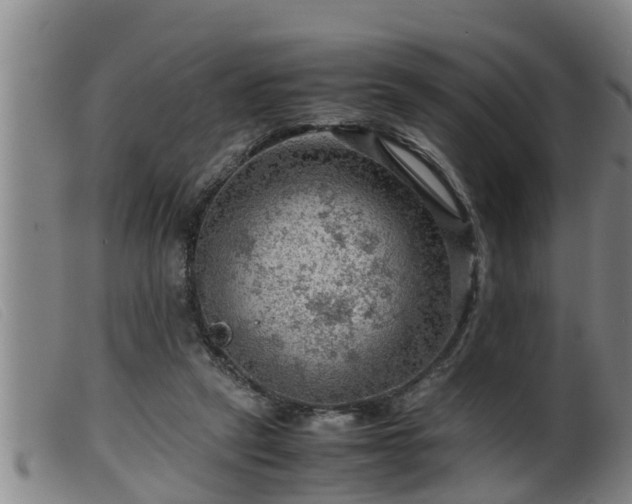 X0000099530257200805231109