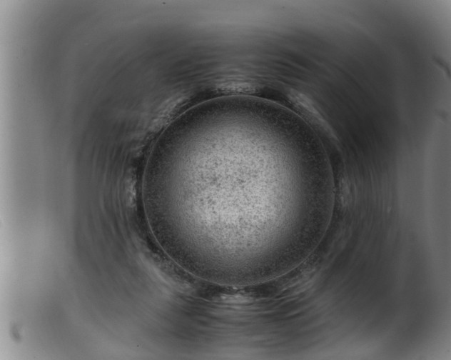 X0000099530259200805231109