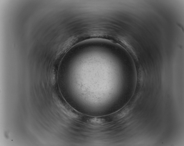 X0000099530261200805231109