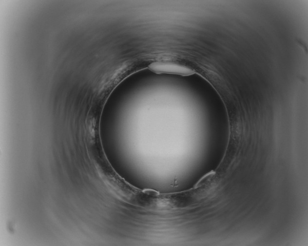 X0000099530264200805231109