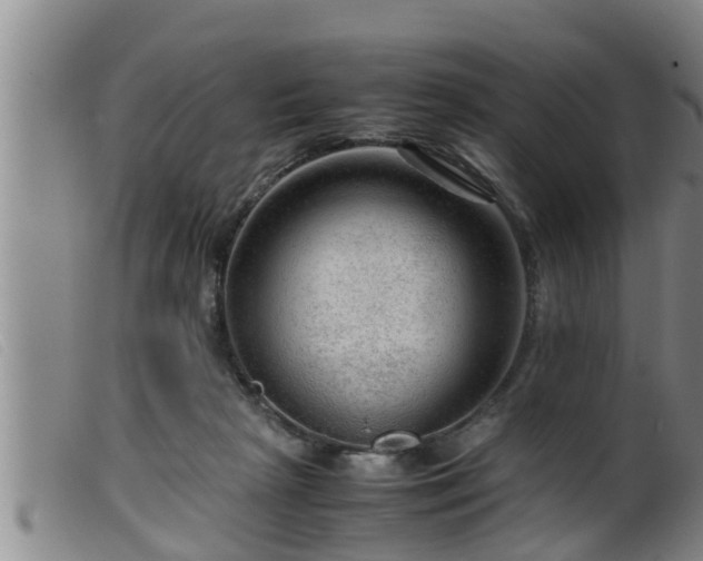 X0000099530265200805231109