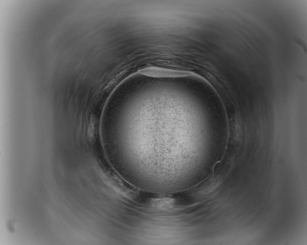 X0000099530266200805231109