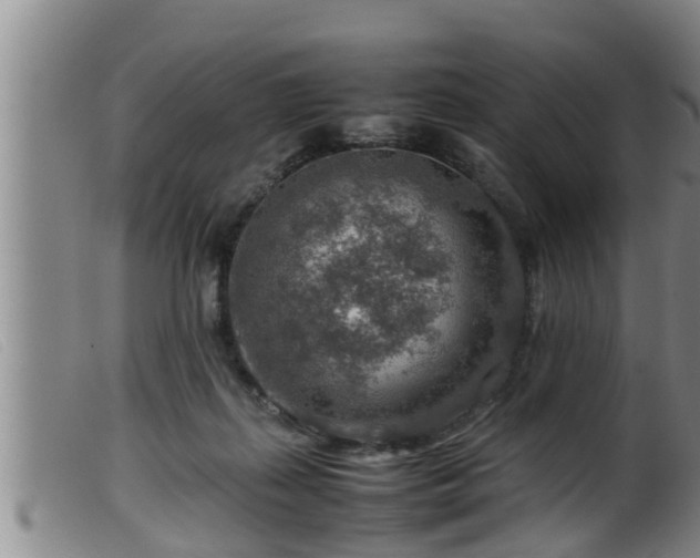 X0000099530267200805231109