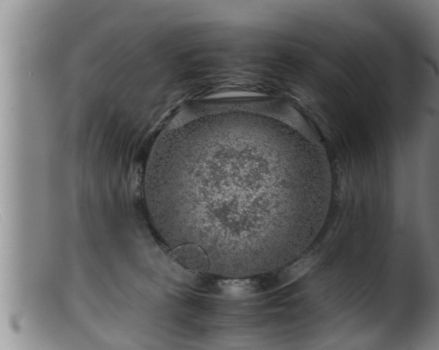 X0000099530273200805231109