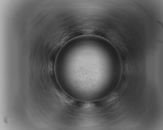 X0000099530274200805231109