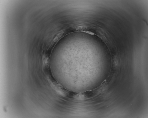 X0000099530276200805231109