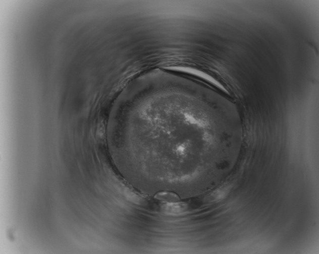 X0000099530277200805231109