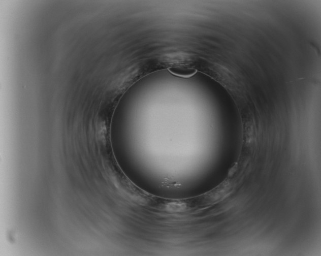 X0000099530279200805231109