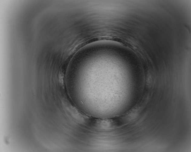 X0000099530282200805231109