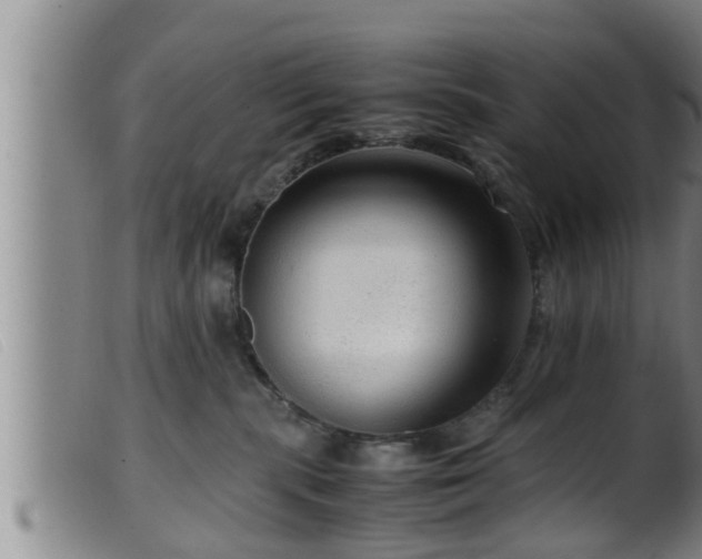 X0000099530283200805231109